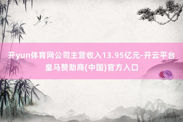 开yun体育网公司主营收入13.95亿元-开云平台皇马赞助商(中国)官方入口