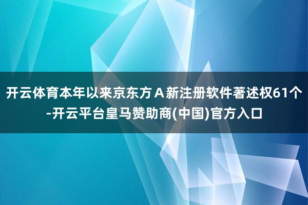 开云体育本年以来京东方Ａ新注册软件著述权61个-开云平台皇马赞助商(中国)官方入口